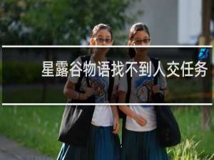星露谷物语找不到人交任务