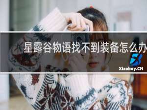 星露谷物语找不到装备怎么办