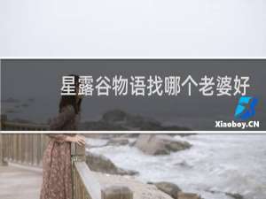 星露谷物语找哪个老婆好