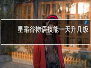 星露谷物语技能一天升几级