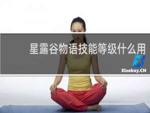 星露谷物语技能等级什么用
