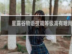 星露谷物语技能等级高有啥用
