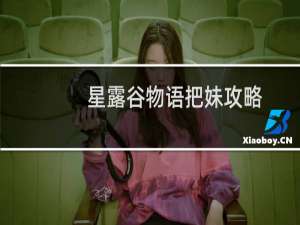 星露谷物语把妹攻略