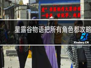 星露谷物语把所有角色都攻略