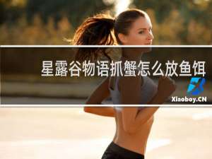 星露谷物语抓蟹怎么放鱼饵