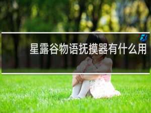星露谷物语抚摸器有什么用