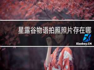 星露谷物语拍照照片存在哪