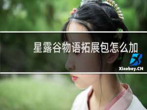 星露谷物语拓展包怎么加