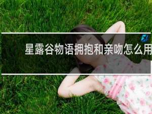 星露谷物语拥抱和亲吻怎么用
