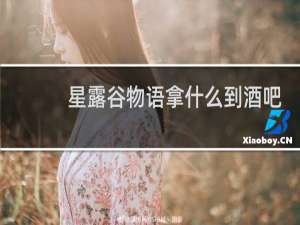 星露谷物语拿什么到酒吧