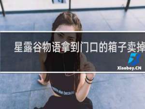 星露谷物语拿到门口的箱子卖掉吗