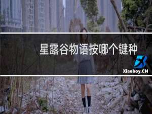 星露谷物语按哪个键种