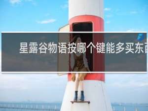 星露谷物语按哪个键能多买东西