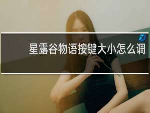 星露谷物语按键大小怎么调