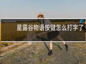 星露谷物语按键怎么打字了