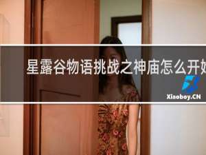 星露谷物语挑战之神庙怎么开始