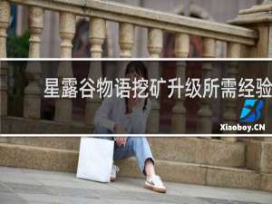 星露谷物语挖矿升级所需经验