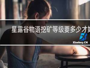 星露谷物语挖矿等级要多少才好