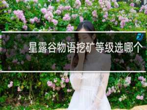 星露谷物语挖矿等级选哪个