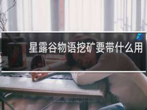 星露谷物语挖矿要带什么用