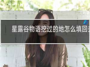 星露谷物语挖过的地怎么填回去