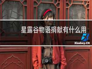 星露谷物语捐献有什么用