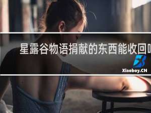 星露谷物语捐献的东西能收回吗