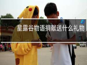 星露谷物语捐献送什么礼物