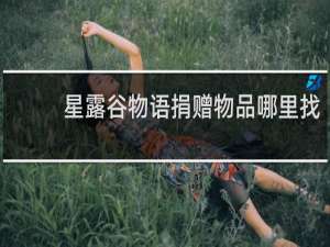 星露谷物语捐赠物品哪里找