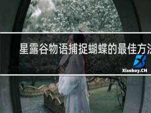 星露谷物语捕捉蝴蝶的最佳方法