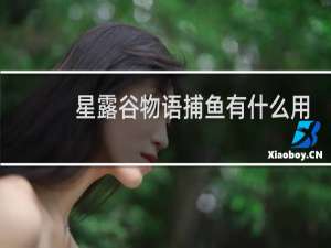 星露谷物语捕鱼有什么用