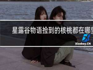 星露谷物语捡到的核桃都在哪里