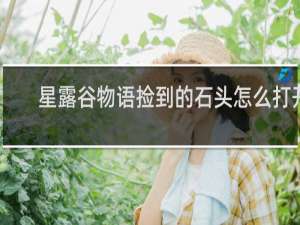星露谷物语捡到的石头怎么打开