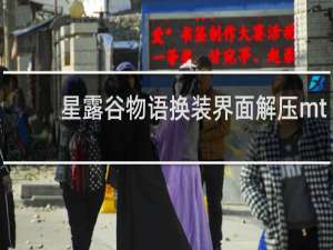 星露谷物语换装界面解压mt