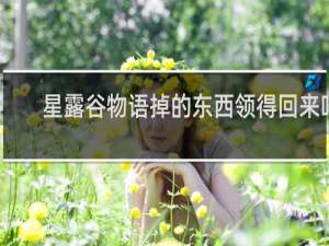 星露谷物语掉的东西领得回来吗