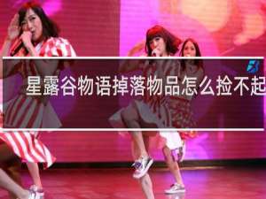 星露谷物语掉落物品怎么捡不起来