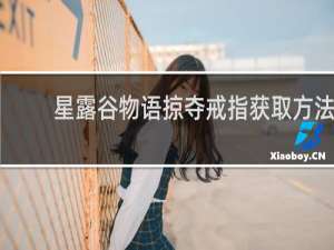 星露谷物语掠夺戒指获取方法