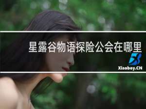 星露谷物语探险公会在哪里