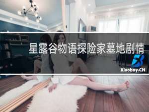 星露谷物语探险家墓地剧情