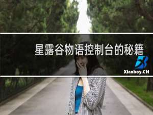 星露谷物语控制台的秘籍