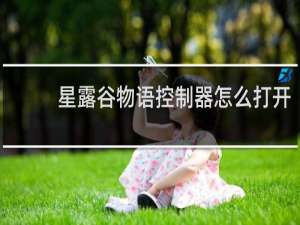 星露谷物语控制器怎么打开