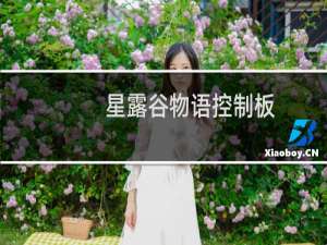 星露谷物语控制板
