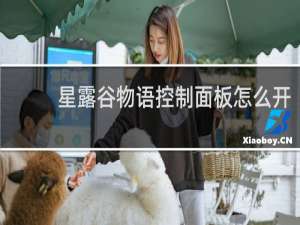 星露谷物语控制面板怎么开