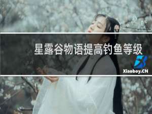 星露谷物语提高钓鱼等级