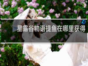 星露谷物语提鱼在哪里获得