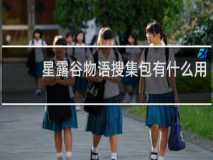 星露谷物语搜集包有什么用