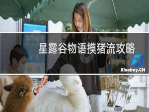 星露谷物语摸猪流攻略