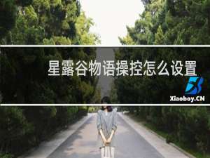 星露谷物语操控怎么设置