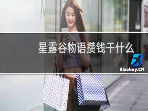 星露谷物语攒钱干什么
