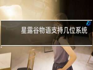 星露谷物语支持几位系统